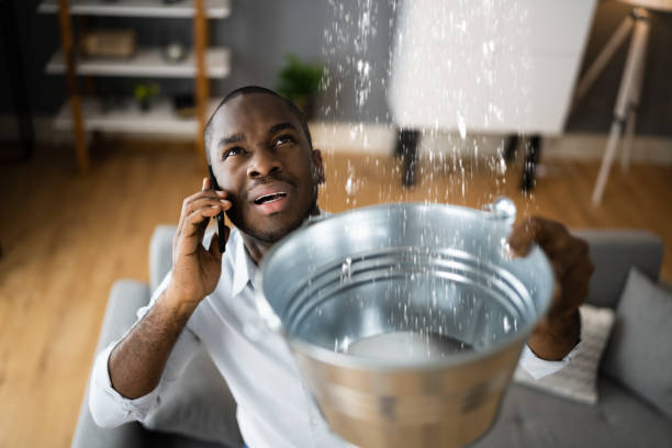Best Water damage restoration mold remediation  in Kermit, TX