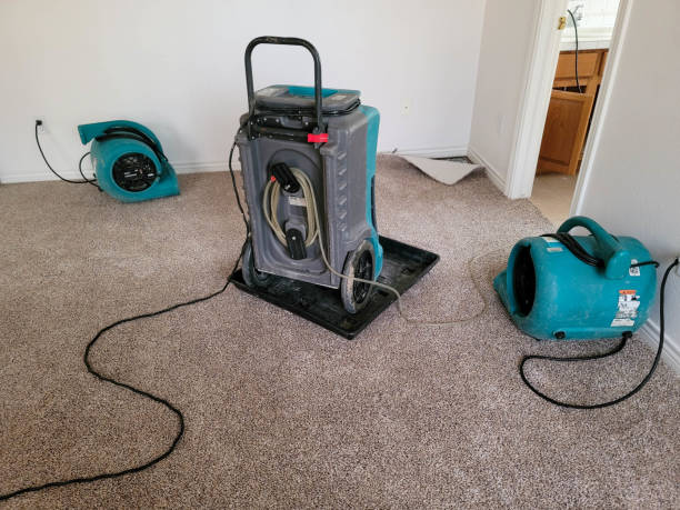 Best Flood restoration services  in Kermit, TX
