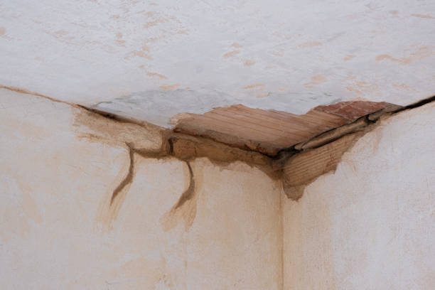 Best Carpet water damage restoration  in Kermit, TX
