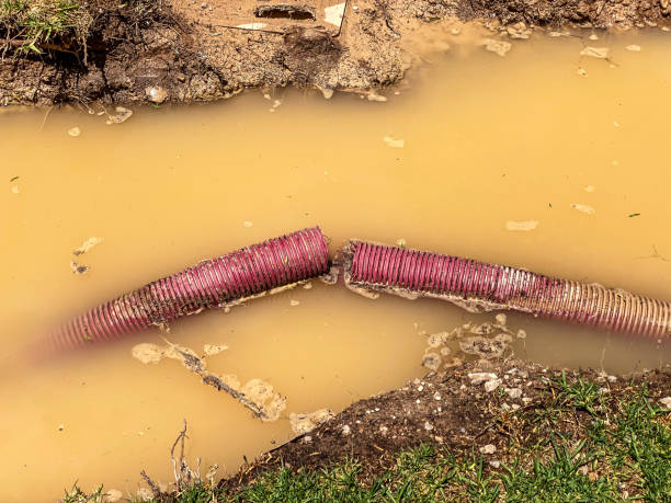 Best Mold removal after water damage  in Kermit, TX