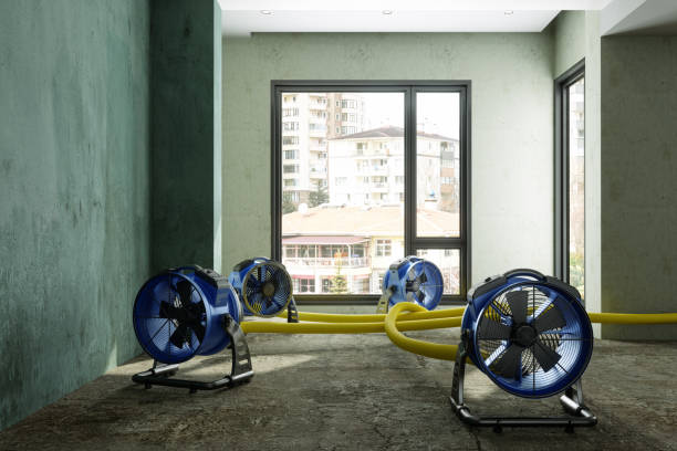 Trusted Kermit, TX Water damage restoration Experts