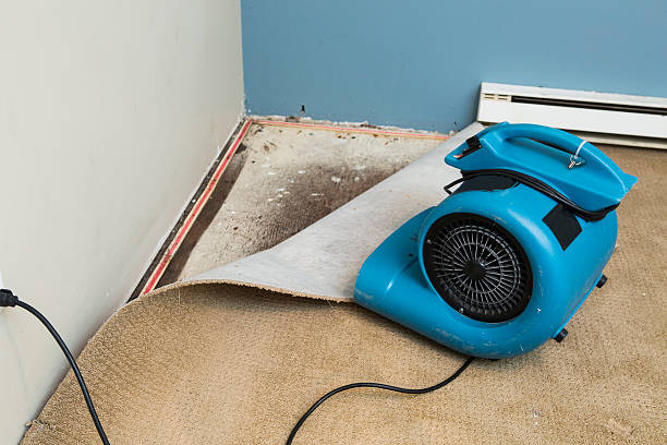 Best Local water damage restoration  in Kermit, TX